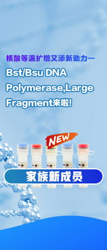 A21K Mr角轉子 23120 G, 12×10ml E2746 技術參數與服務解析