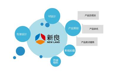 新良集團(tuán)糧油品牌營銷策劃方案